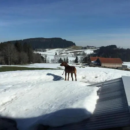 In Mit Garten Und Terrasse By Interhome * Buchenberg (Bavaria)