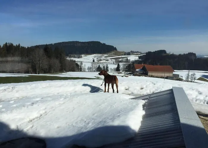 In Mit Garten Und Terrasse By Interhome * Buchenberg (Bavaria)